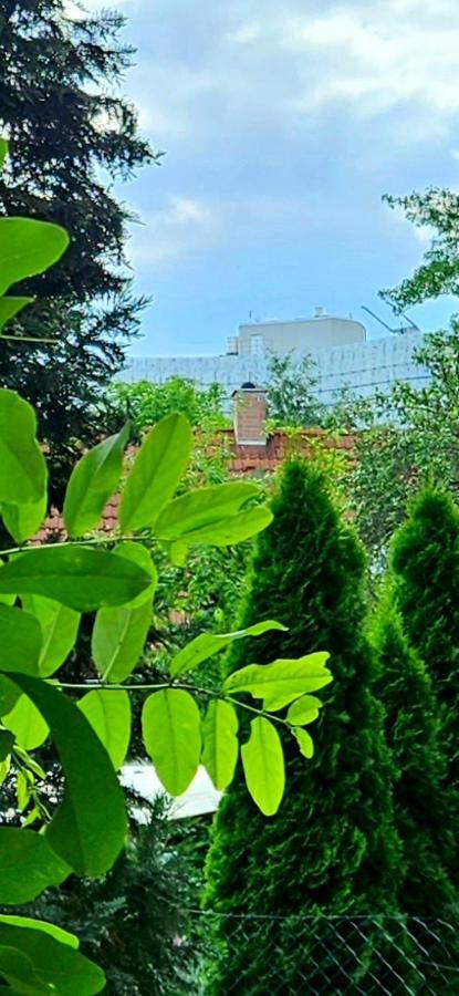 Johnis Fewo, Naehe Stadtzentrum - Uni In Sehr Ruhiger Lage Mit Terrasse Und Eigenem Parkplatz Cottbus Buitenkant foto